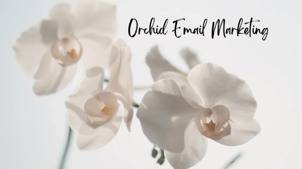 orchid email marketing